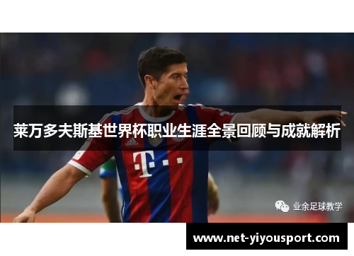 莱万多夫斯基世界杯职业生涯全景回顾与成就解析