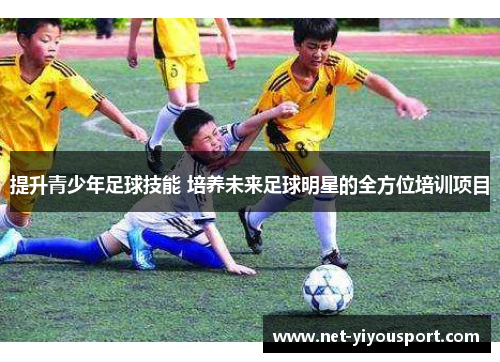 提升青少年足球技能 培养未来足球明星的全方位培训项目