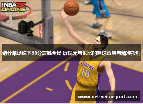 纳什单场砍下36分震撼全场 展现无与伦比的篮球智慧与精准投射