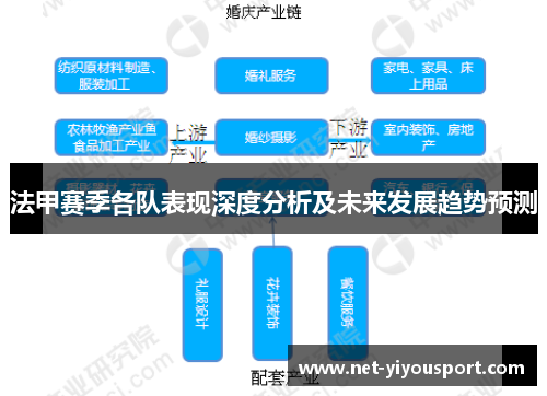 法甲赛季各队表现深度分析及未来发展趋势预测