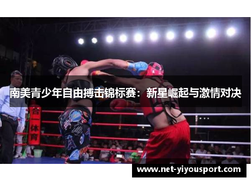南美青少年自由搏击锦标赛：新星崛起与激情对决