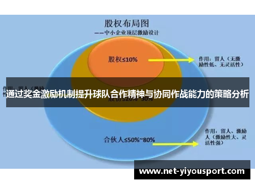 通过奖金激励机制提升球队合作精神与协同作战能力的策略分析