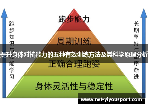 提升身体对抗能力的五种有效训练方法及其科学原理分析
